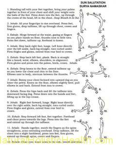 The Sun Salutation