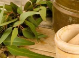 19716716 s 265x400 e1486623809474