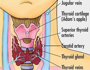 3d2569691a0a1a7822ba106039a7f01e e1486621106984