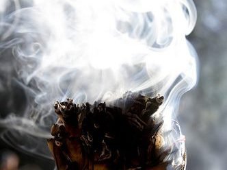 4723640404 b85e3fb4c4 smudge stick e1488263160273