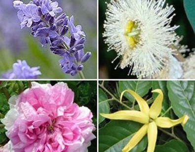 8f455be353060199b94fd0573c224ba7 e1483113566266