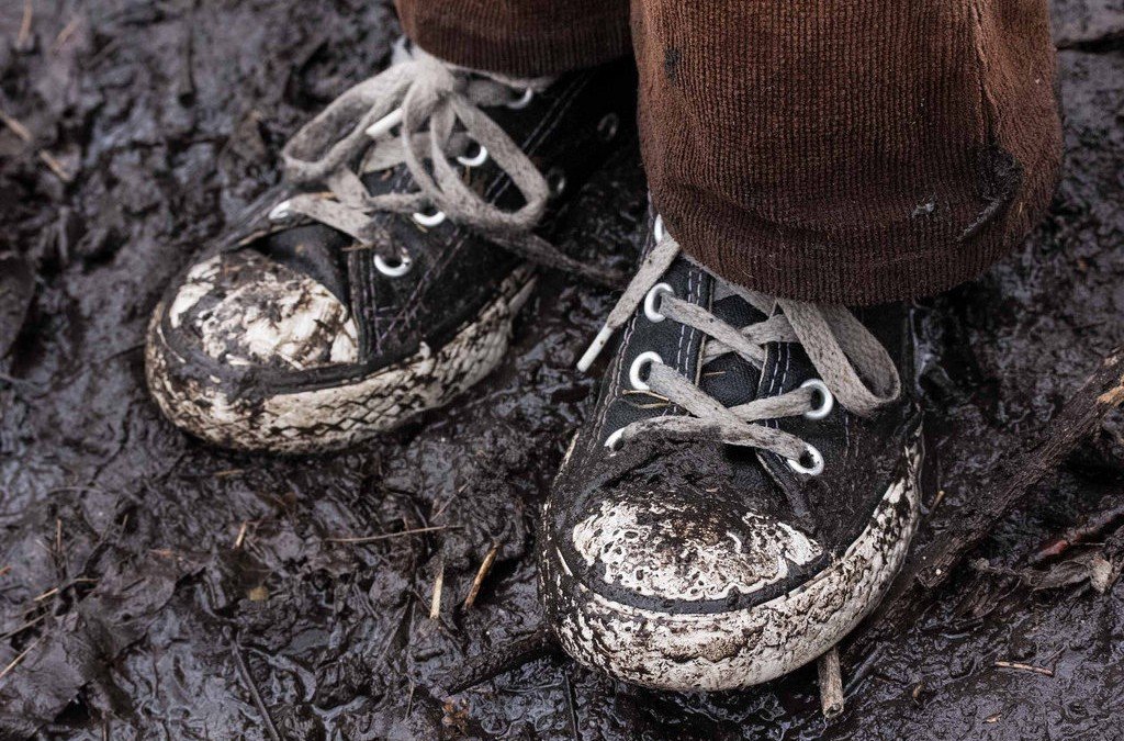 9333752335 a1f59a62b6 b 1024x675 1