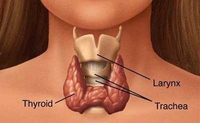 bigthyroid e1486604085755