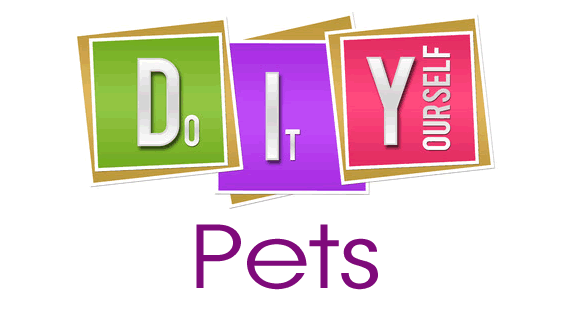 diy pets e1483031697319