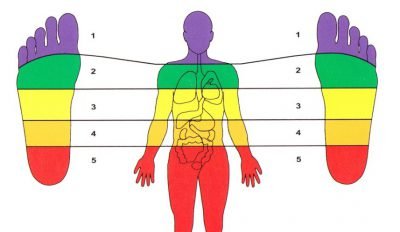 reflex zones